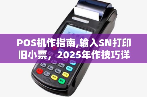 POS机作指南,输入SN打印旧小票，2025年作技巧详析