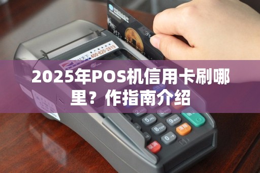 2025年POS机信用卡刷哪里？作指南介绍