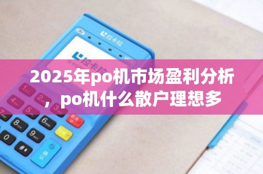 2025年po机市场盈利分析，po机什么散户理想多