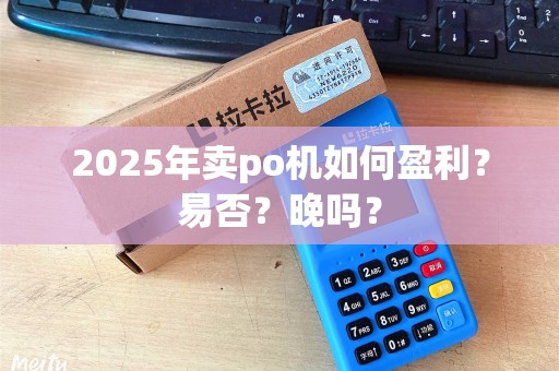 2025年卖po机如何盈利？易否？晚吗？