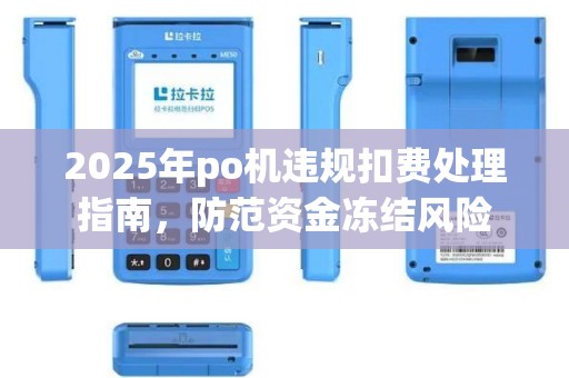 2025年po机违规扣费处理指南，防范资金冻结风险