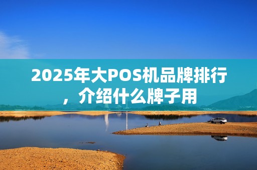 2025年大POS机品牌排行，介绍什么牌子用
