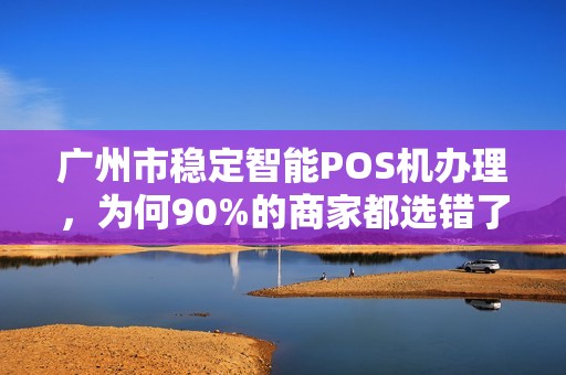 广州市稳定智能POS机办理，为何90%的商家都选错了？真相让人震惊！