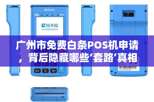 广州市免费白条POS机申请，背后隐藏哪些‘套路’真相让人意外！