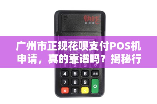 广州市正规花呗支付POS机申请，真的靠谱吗？揭秘行业内幕与避坑指南！