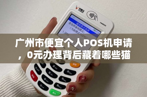 广州市便宜个人POS机申请，0元办理背后藏着哪些猫腻？
