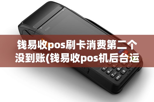 钱易收pos刷卡消费第二个没到账(钱易收pos机后台运行)