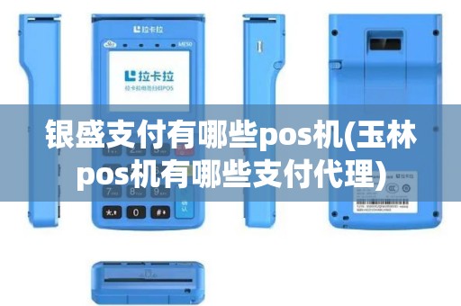 银盛支付有哪些pos机(玉林pos机有哪些支付代理)