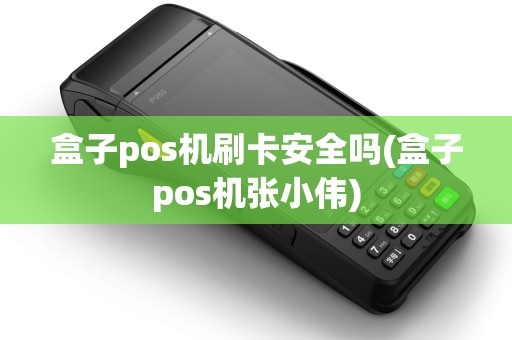 盒子pos机刷卡安全吗(盒子pos机张小伟)