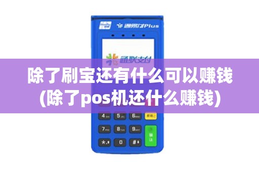 除了刷宝还有什么可以赚钱(除了pos机还什么赚钱)