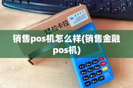 销售pos机怎么样(销售金融pos机)