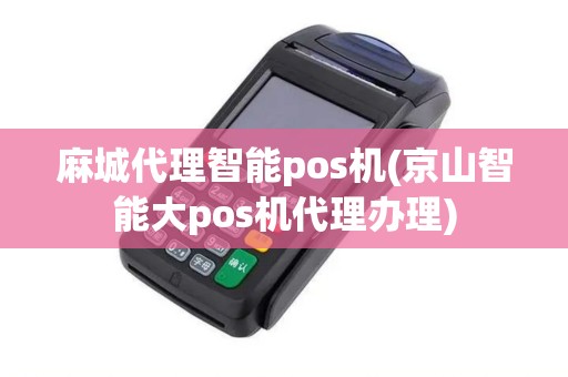 麻城代理智能pos机(京山智能大pos机代理办理)