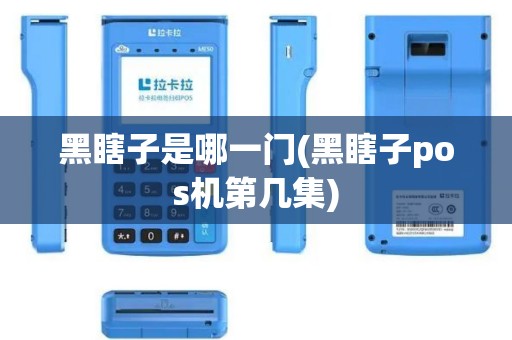 黑瞎子是哪一门(黑瞎子pos机第几集)