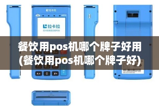 餐饮用pos机哪个牌子好用(餐饮用pos机哪个牌子好)