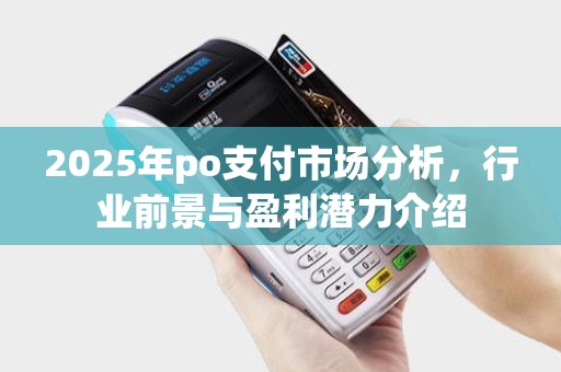 2025年po支付市场分析，行业前景与盈利潜力介绍