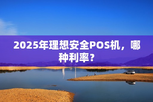 2025年理想安全POS机，哪种利率？