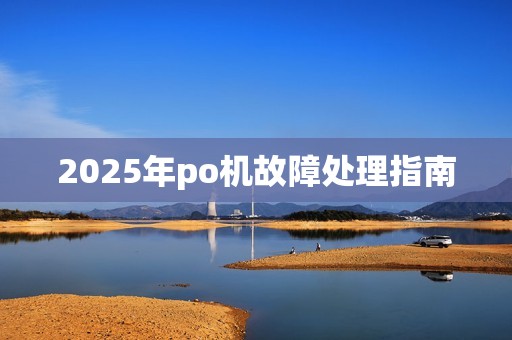 2025年po机故障处理指南
