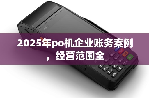 2025年po机企业账务案例，经营范围全