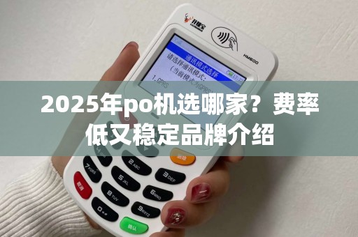 2025年po机选哪家？费率低又稳定品牌介绍