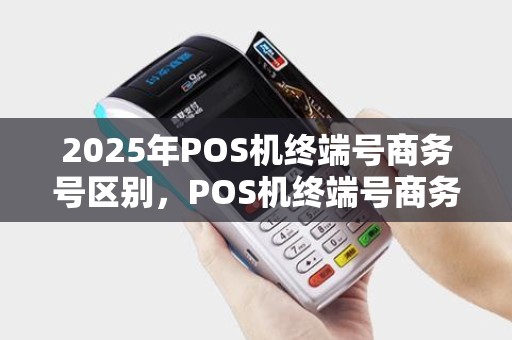 2025年POS机终端号商务号区别，POS机终端号商务号影响