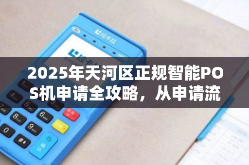 2025年天河区正规智能POS机申请全攻略，从申请流程到避坑指南
