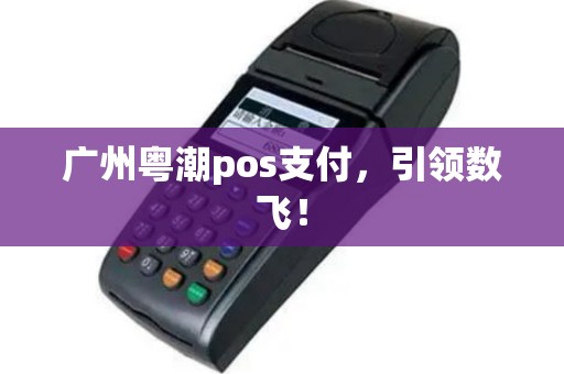 广州粤潮pos支付，引领数飞！