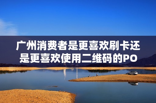 广州消费者是更喜欢刷卡还是更喜欢使用二维码的POS机？