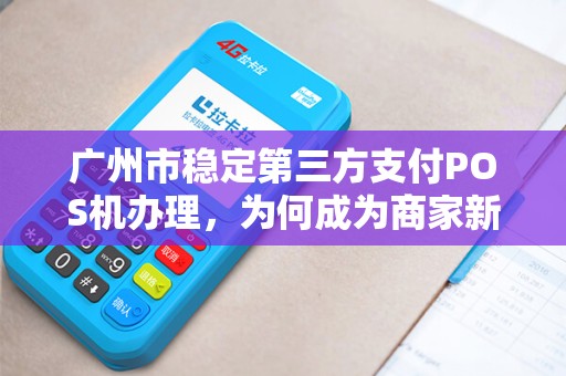 广州市稳定第三方支付POS机办理，为何成为商家新宠？背后隐藏哪些不为人知的优势？