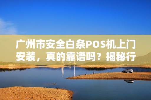 广州市安全白条POS机上门安装，真的靠谱吗？揭秘行业内幕与避坑指南！