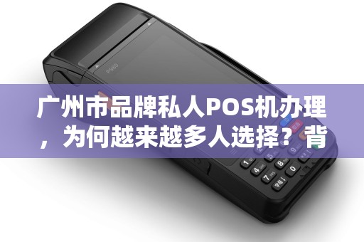 广州市品牌私人POS机办理，为何越来越多人选择？背后藏着这些秘密！