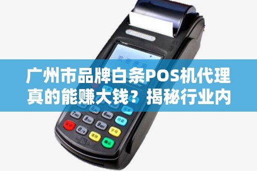 广州市品牌白条POS机代理真的能赚大钱？揭秘行业内幕与避坑指南！