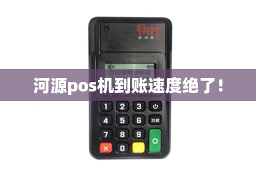 河源pos机到账速度绝了！