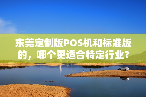 东莞定制版POS机和标准版的，哪个更适合特定行业？