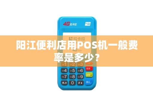阳江便利店用POS机一般费率是多少？