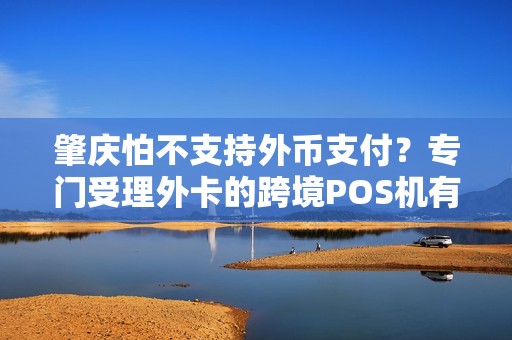 肇庆怕不支持外币支付？专门受理外卡的跨境POS机有吗？