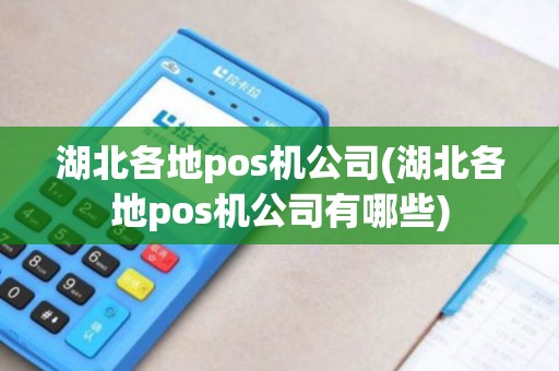 湖北各地pos机公司(湖北各地pos机公司有哪些)