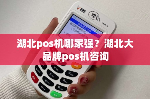 湖北pos机哪家强？湖北大品牌pos机咨询