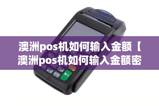 澳洲pos机如何输入金额【澳洲pos机如何输入金额密码】