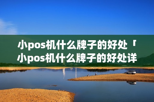 小pos机什么牌子的好处「小pos机什么牌子的好处详细介绍」