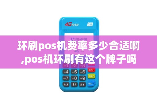 环刷pos机费率多少合适啊,pos机环刷有这个牌子吗