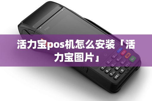 活力宝pos机怎么安装「活力宝图片」