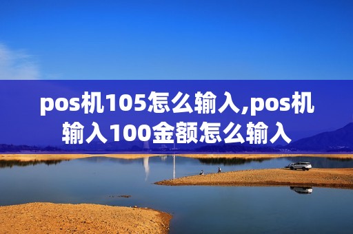 pos机105怎么输入,pos机输入100金额怎么输入