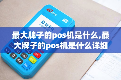 最大牌子的pos机是什么,最大牌子的pos机是什么详细介绍