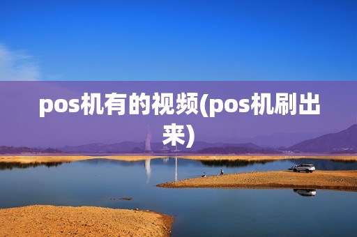 pos机有的视频(pos机刷出来)