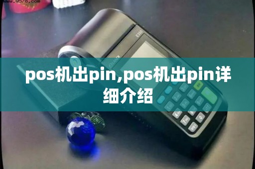pos机出pin,pos机出pin详细介绍