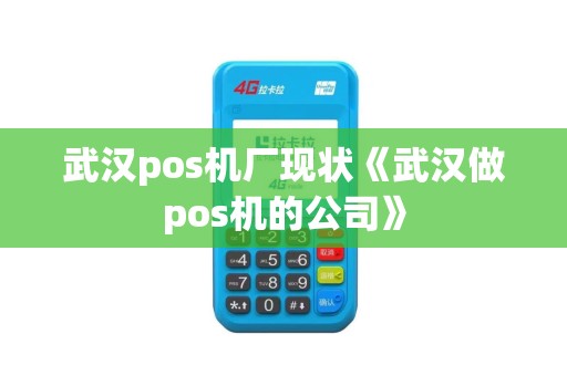 武汉pos机厂现状《武汉做pos机的公司》