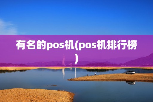 有名的pos机(pos机排行榜)