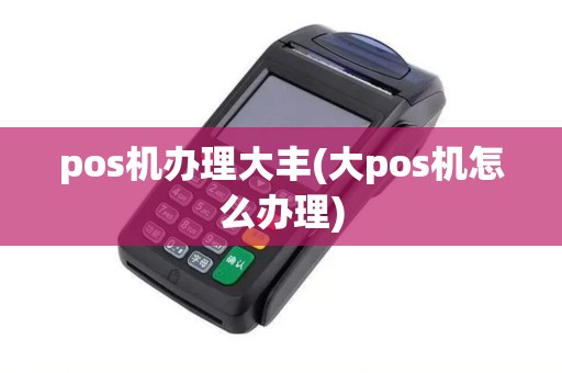 pos机办理大丰(大pos机怎么办理)