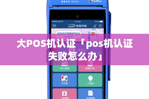 大POS机认证「pos机认证失败怎么办」