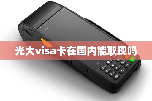 光大visa卡在国内能取现吗